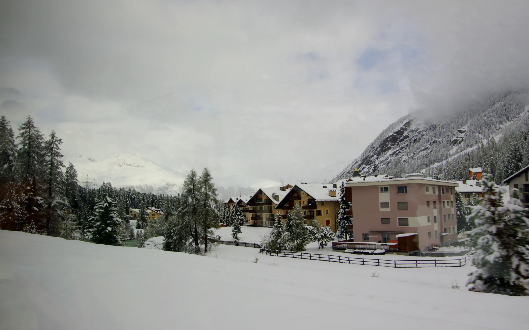 IMGP7383 - Kopie.JPG